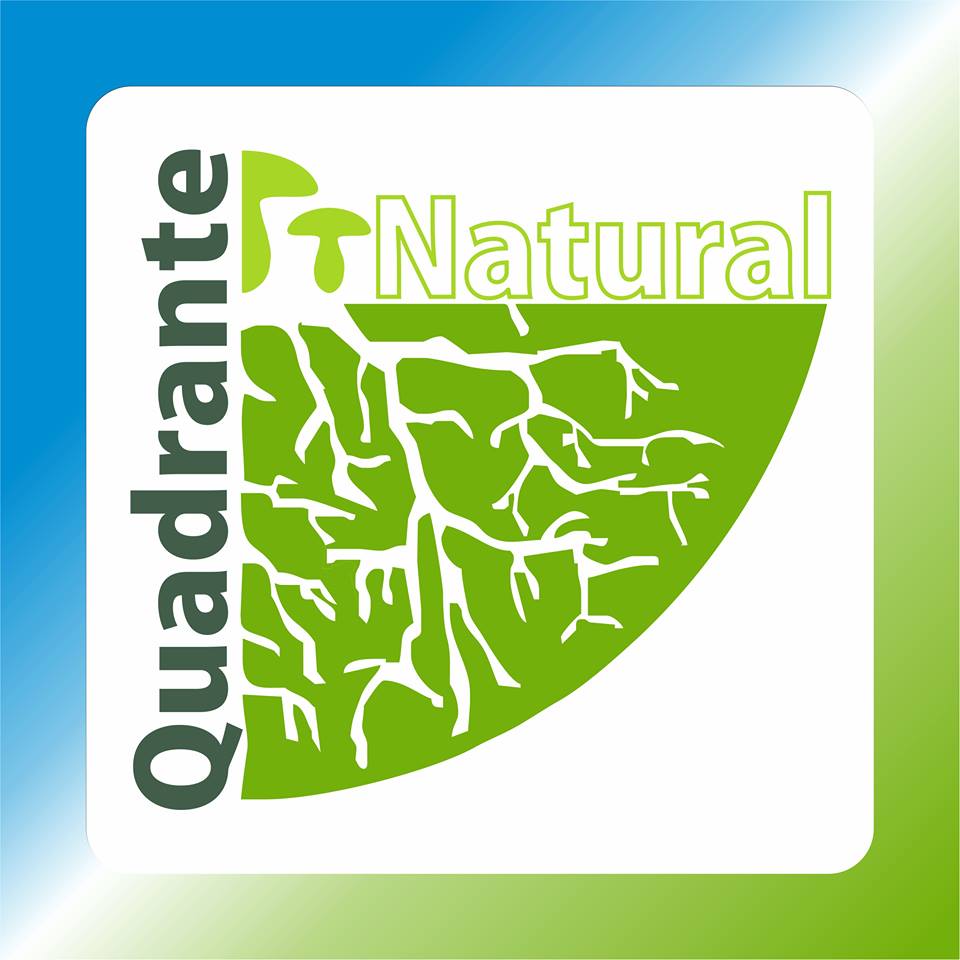 Quadrante Natural