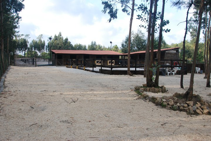 Centro Equestre Luis Real