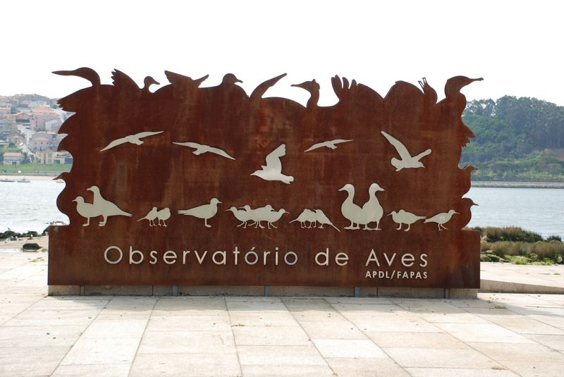 Observatório de Aves da Ribeira da Granja