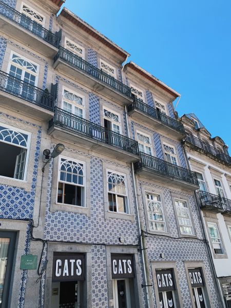Cats Porto Hostel