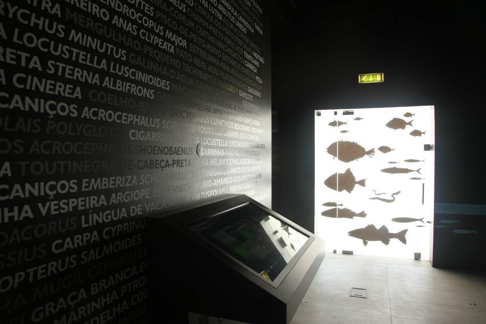 MIRA - Museu do Território da Gândara