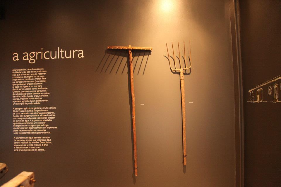 MIRA - Museu do Território da Gândara