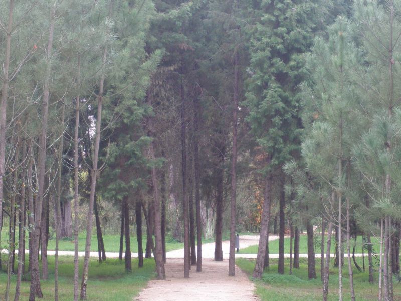 Parque da Cidade da Mealhada