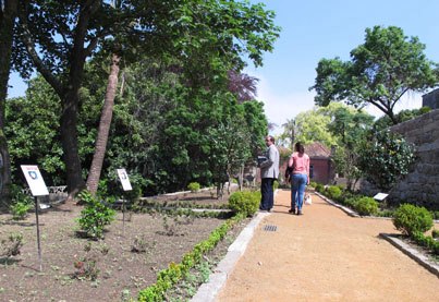 Parque da Quinta do Conde das Devesas / Jardim das Camélias