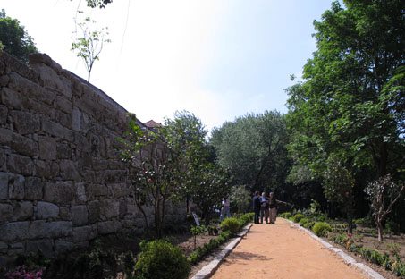 Parque da Quinta do Conde das Devesas / Jardim das Camélias